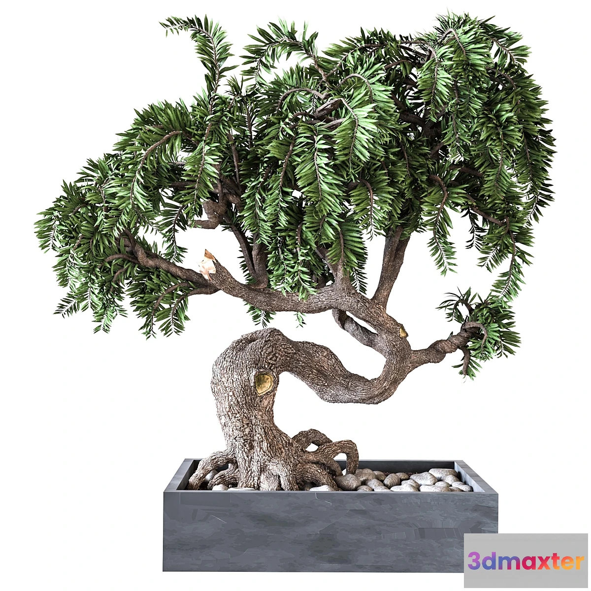 749865 - Outdoor Plant Vol 08 - No.2