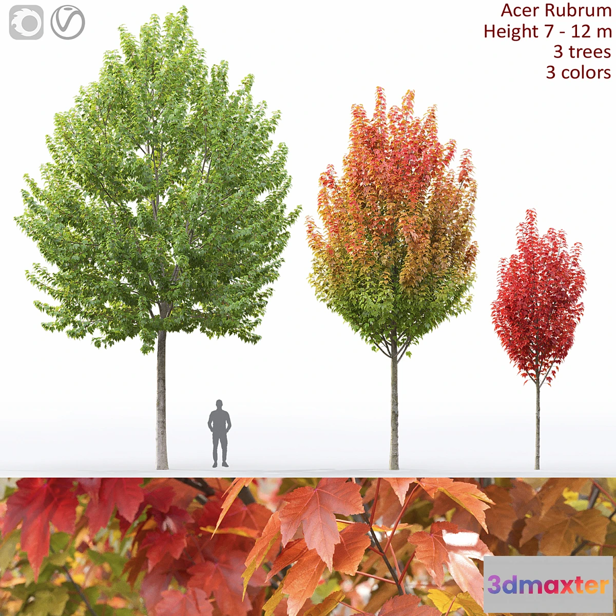 749955 - Acer - No.10