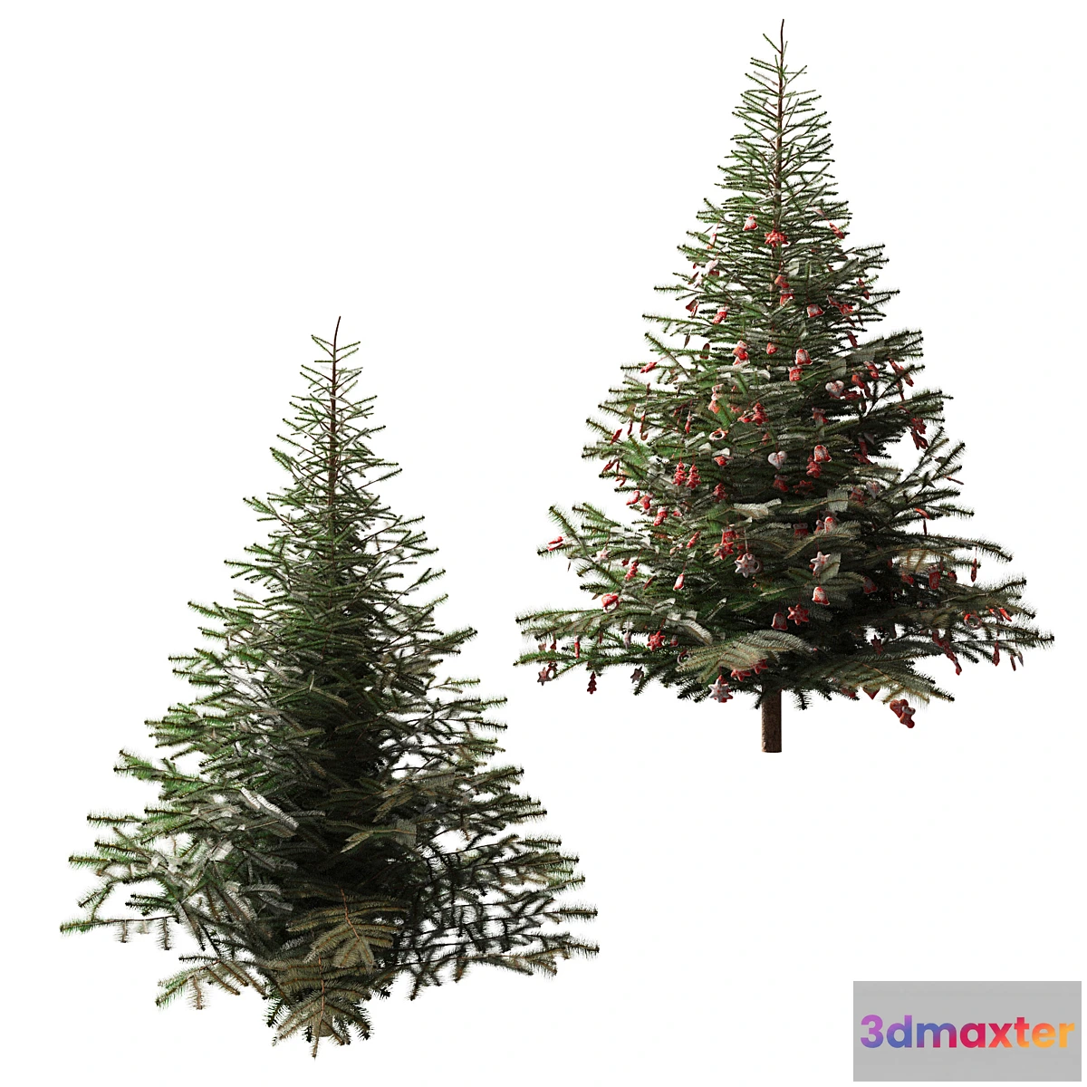 749981 - Christmas tree and Christmas tree - No.2