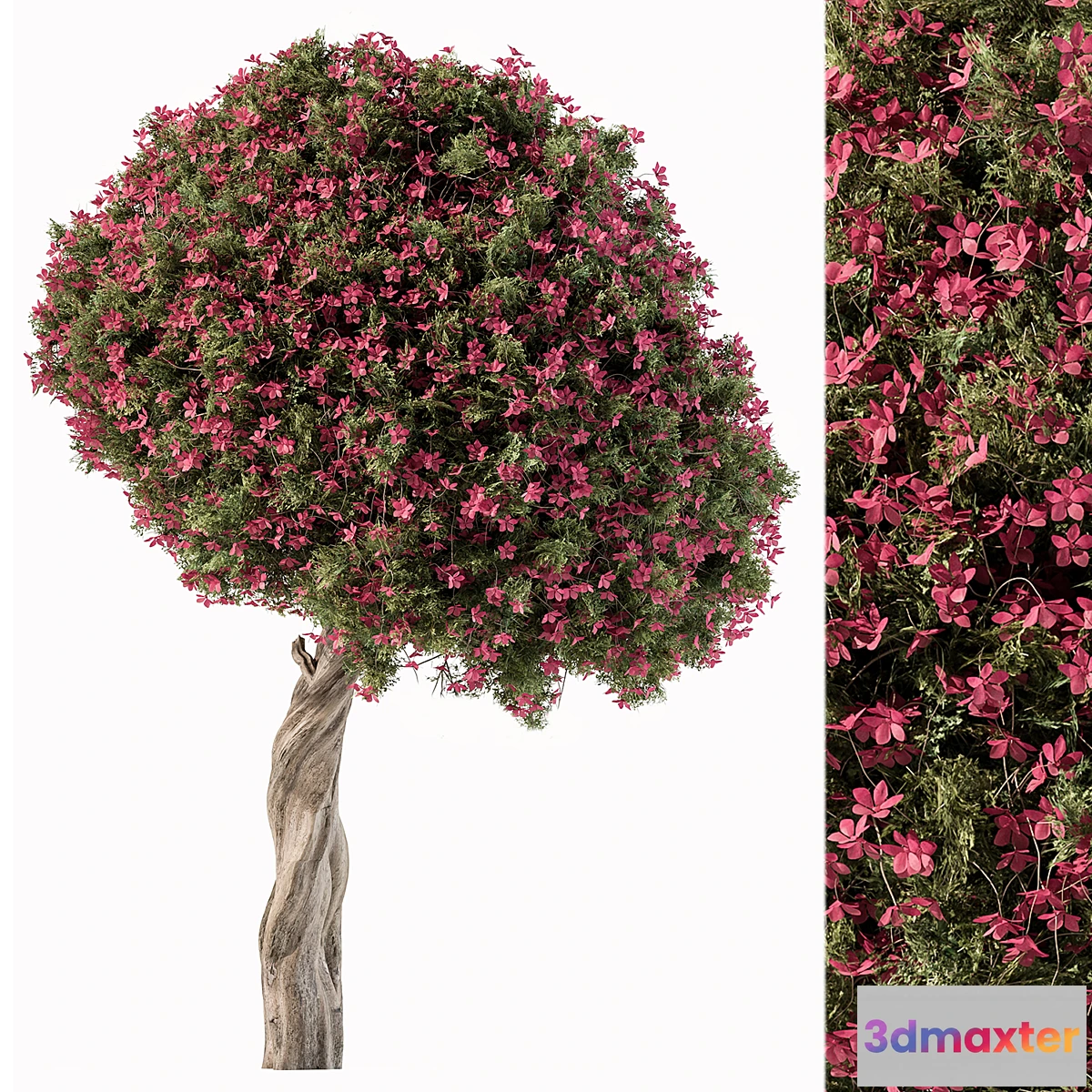 749993 - Flower Tree - Set 104 - No.2