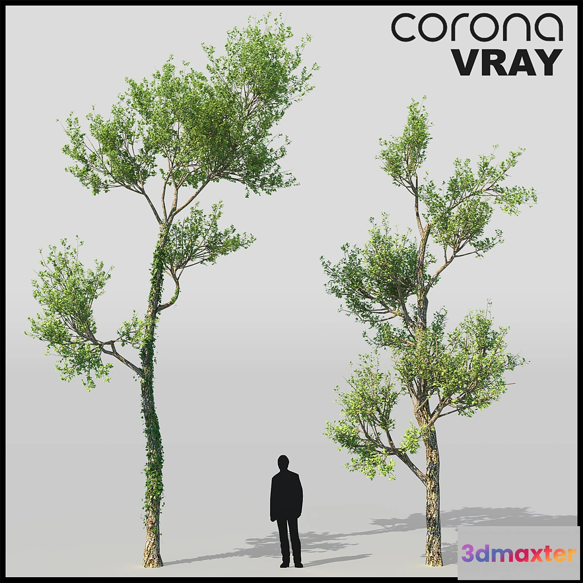 791826 - Tree Grab - No.3