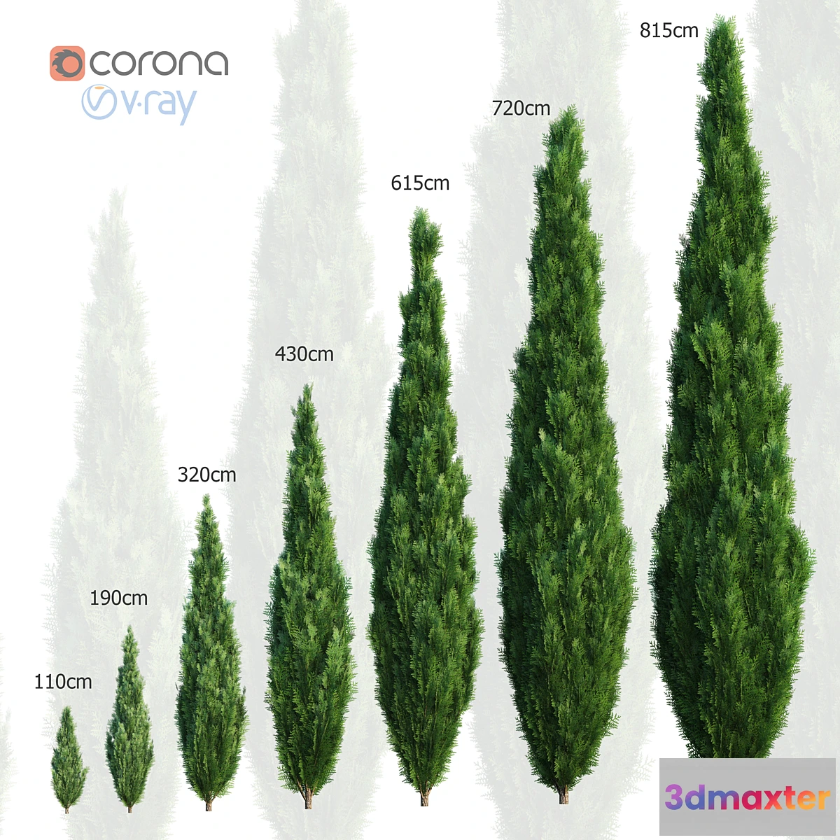 792594 - Thuya. Set of 7 models - No.3