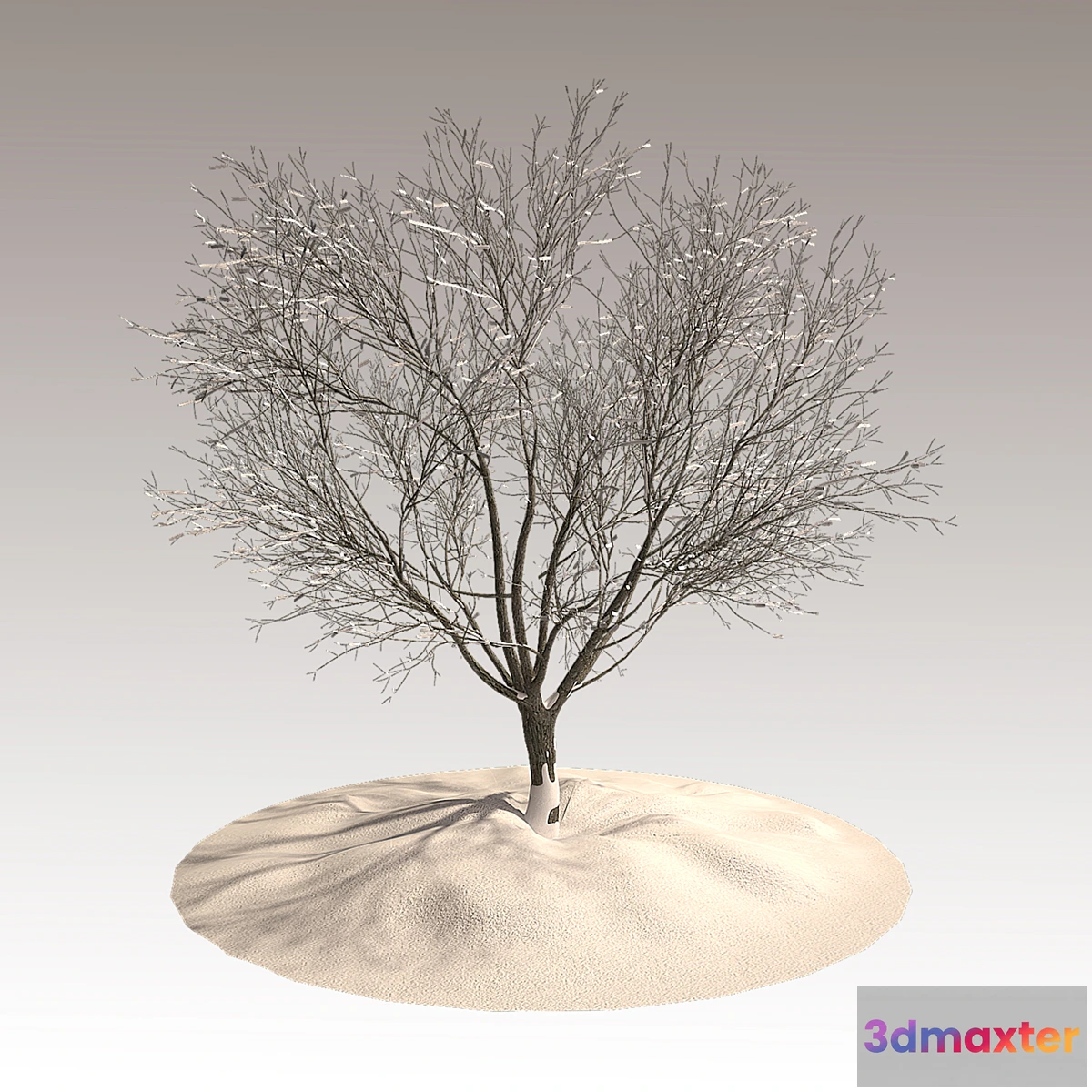 806630 - Tree in winter - No.2