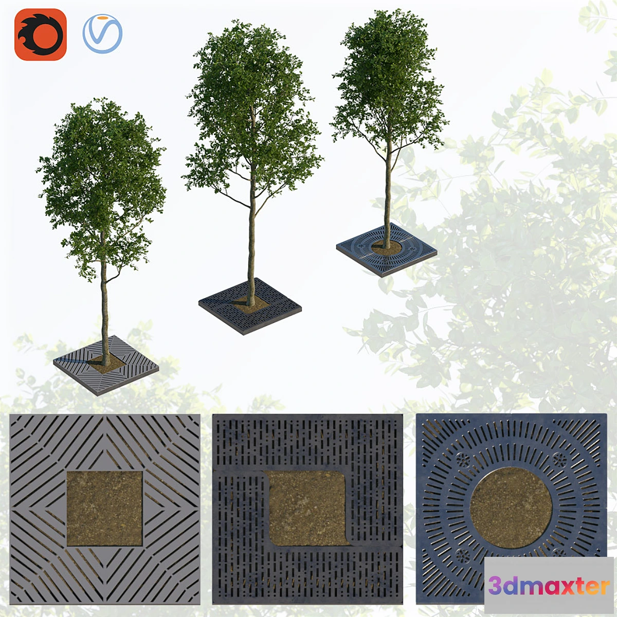 819220 - Trees and lattice