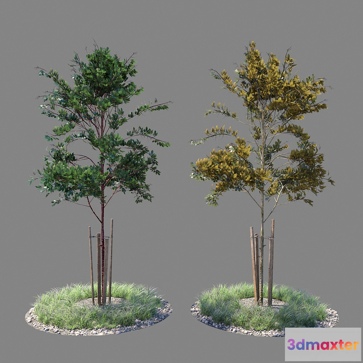 844365 - Young tree 04 - No.2