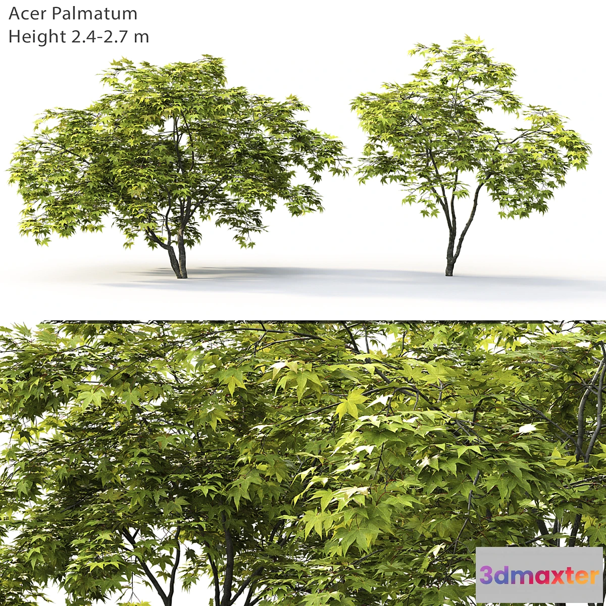 844639 - Acer - No.11