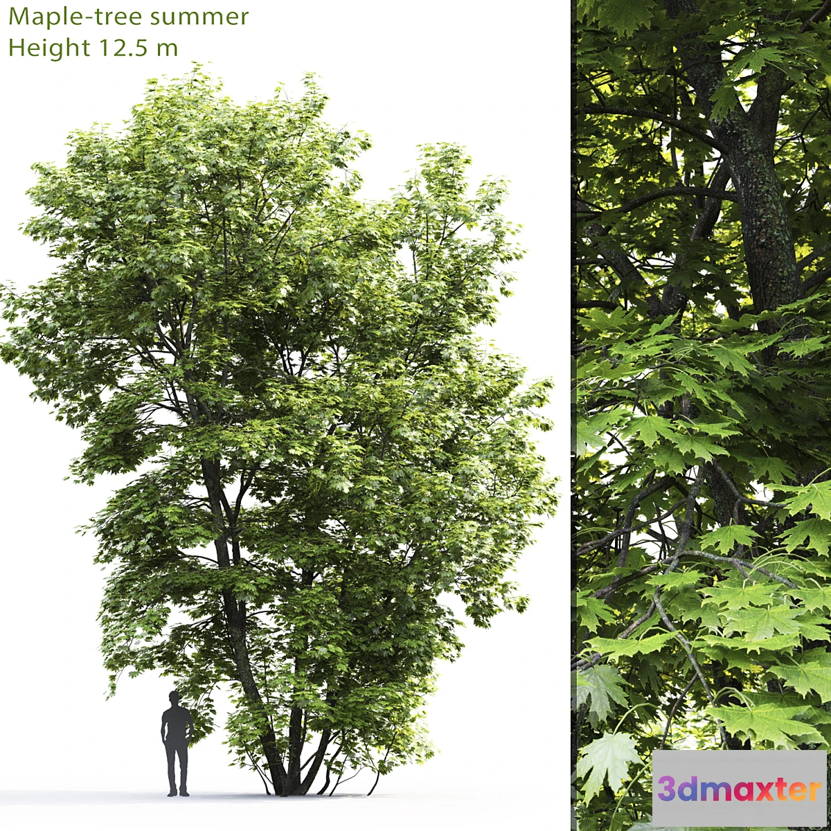 856359 - Acer - No.15