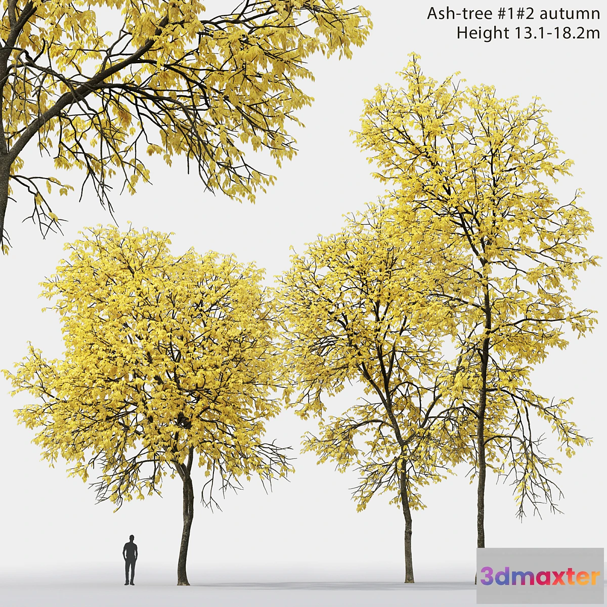 898876 - Ash - No.27