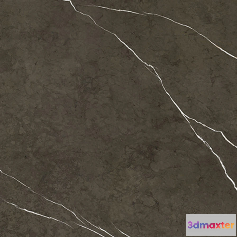 1670644 - Apavisa  - Grey Polished Pietra 3D Max