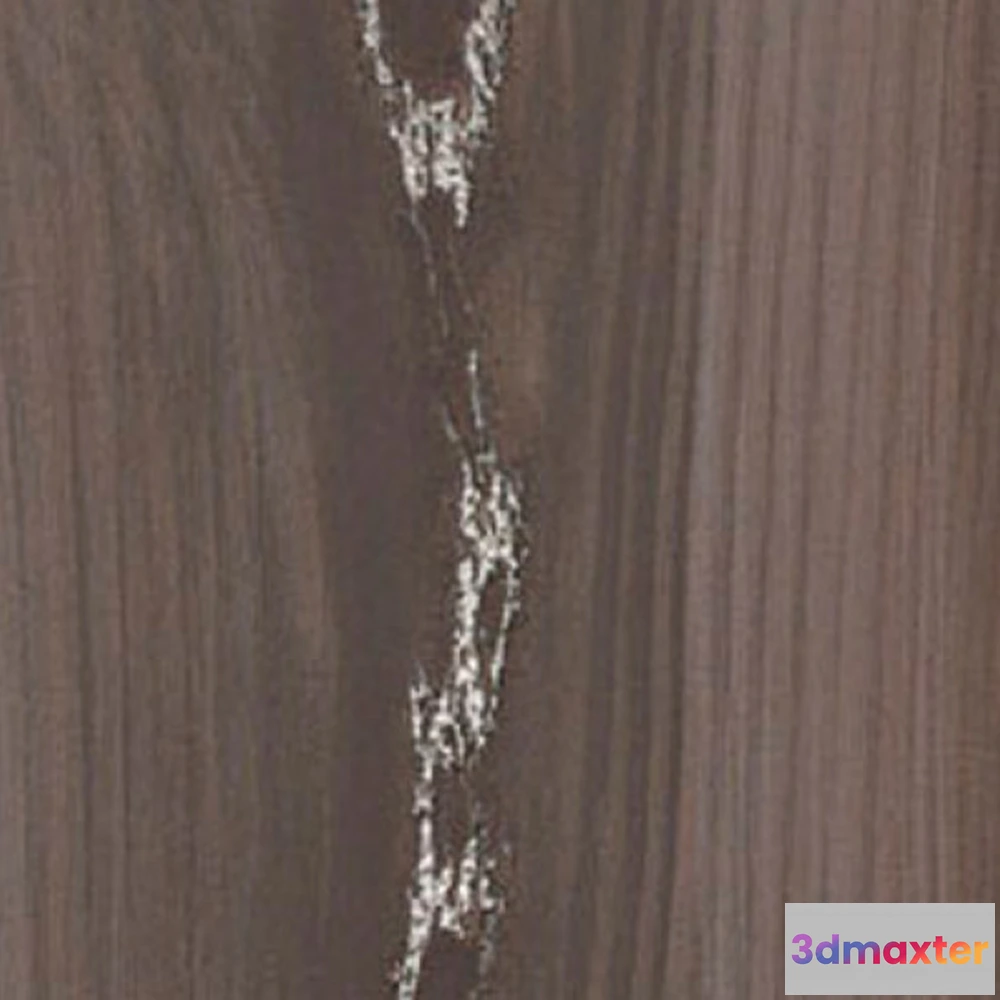 1670664 - Apavisa  - Silver Natural Echo 3D Max