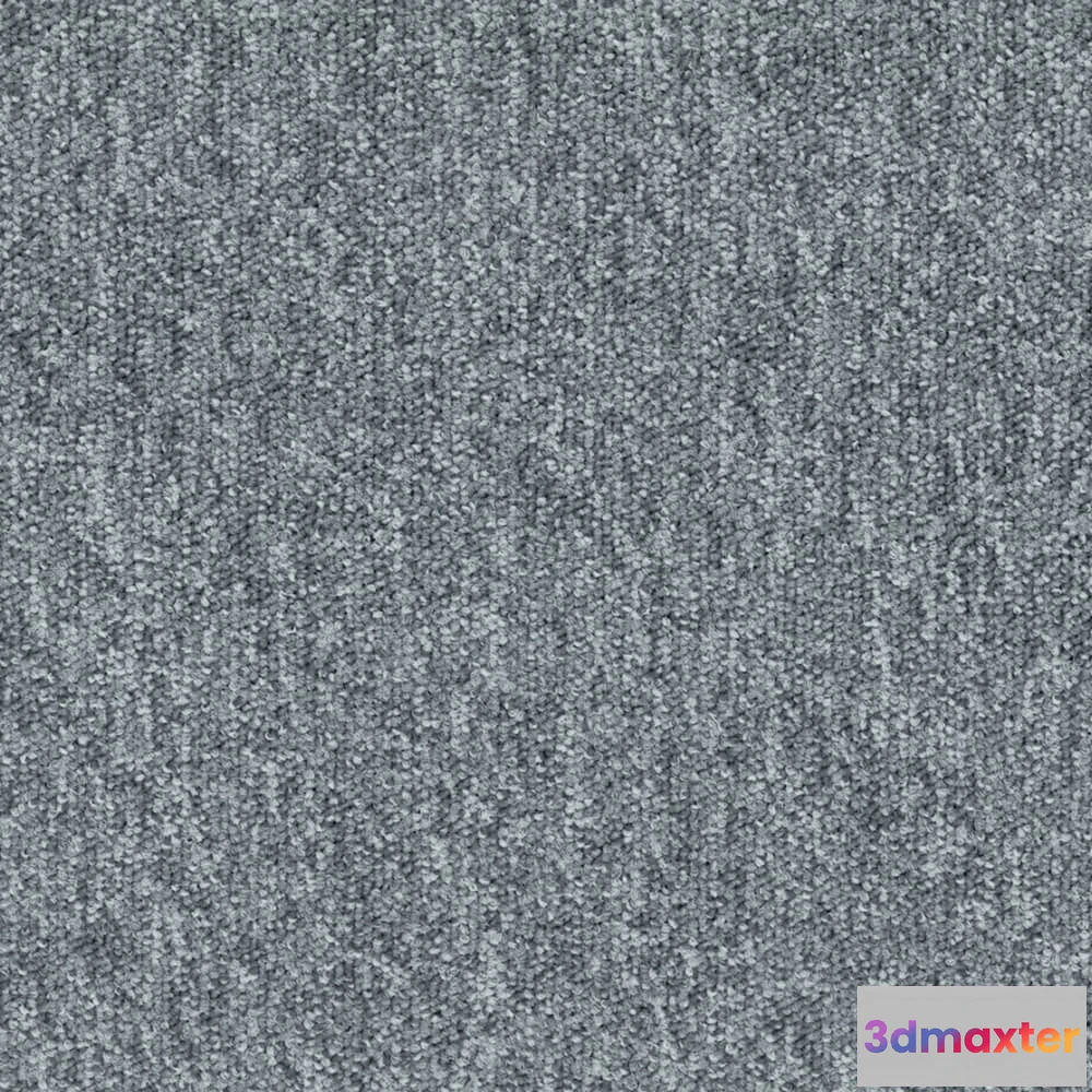 1670904 - BLOQ - Carpeting Tradition_920 3D Max