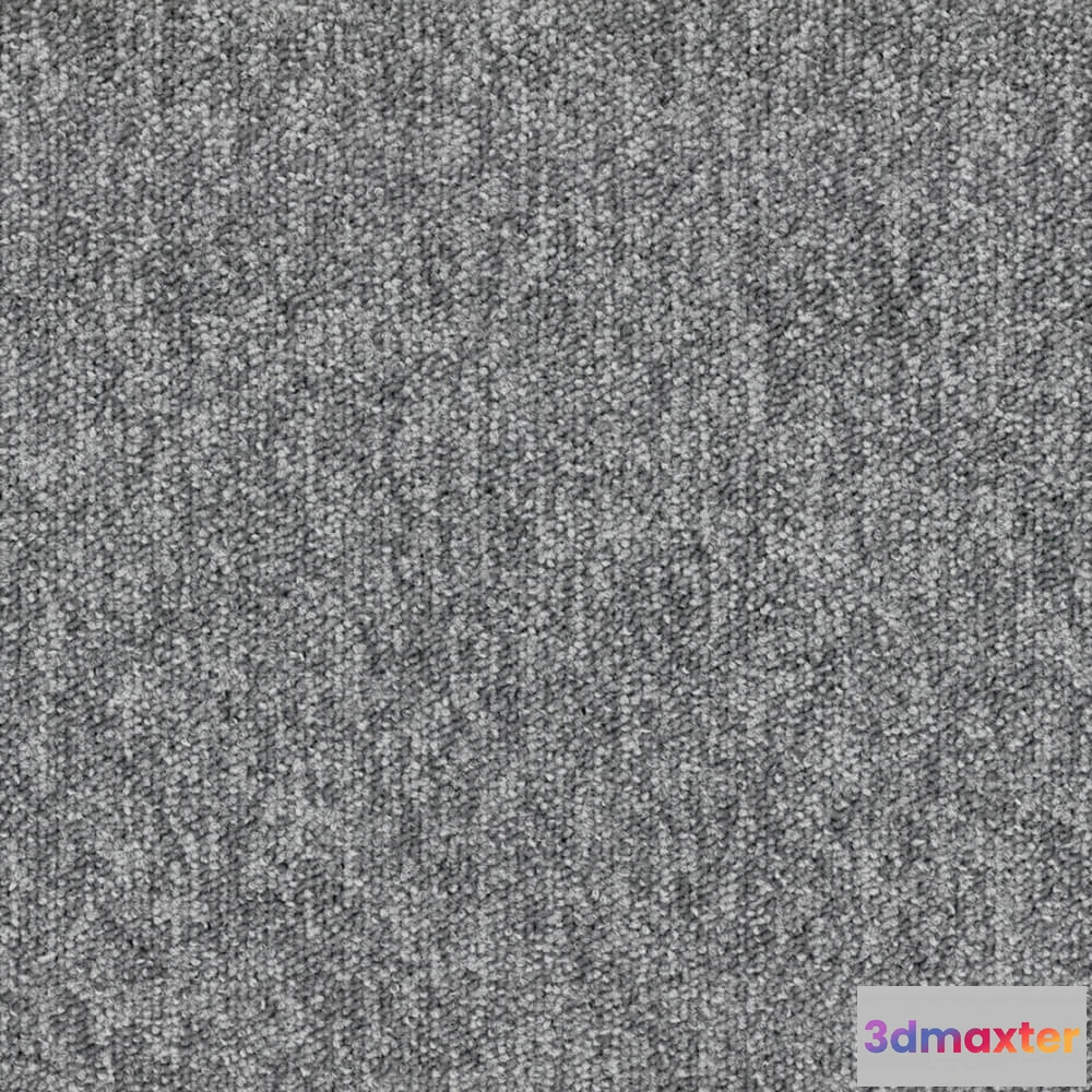 1670908 - BLOQ - Carpeting Tradition_925 3D Max