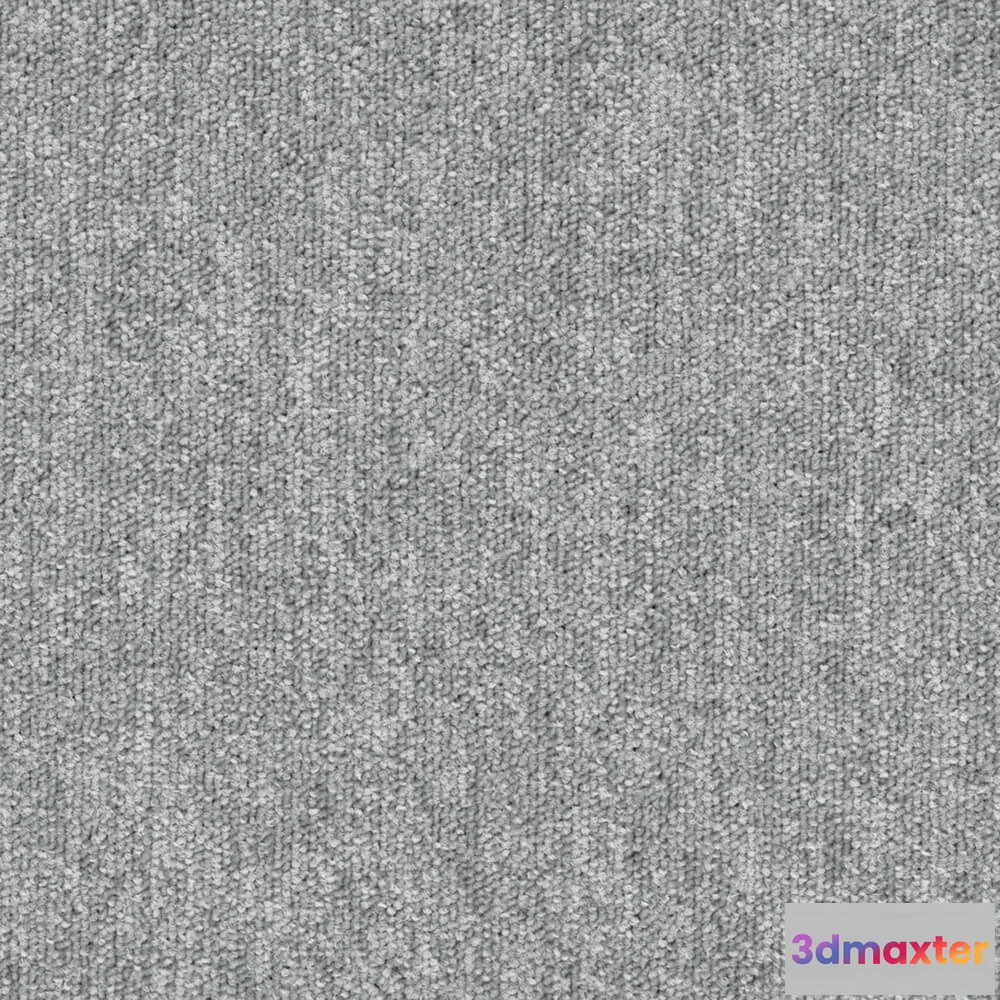 1670910 - BLOQ - Carpeting Tradition_915 3D Max