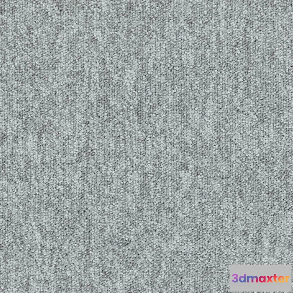 1670912 - BLOQ - Carpeting Tradition_905 3D Max