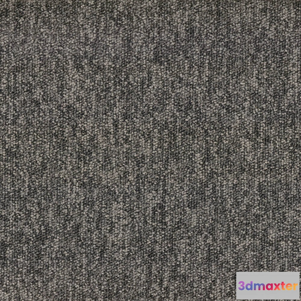 1670916 - BLOQ - Carpeting Tradition_810 3D Max