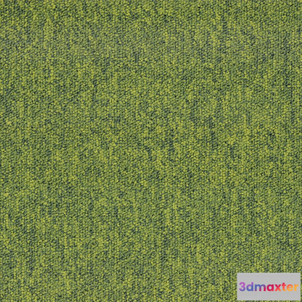 1670918 - BLOQ - Carpeting Tradition_620 3D Max