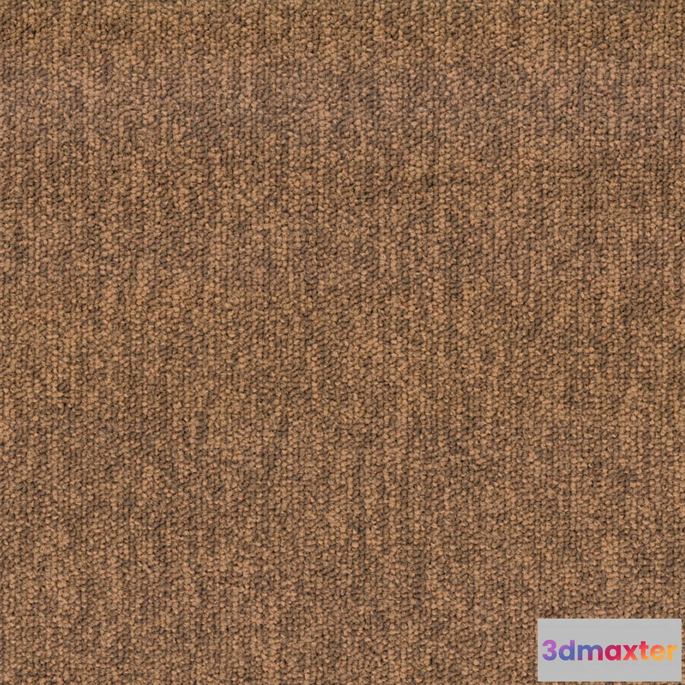 1670920 - BLOQ - Carpeting Tradition_805 3D Max