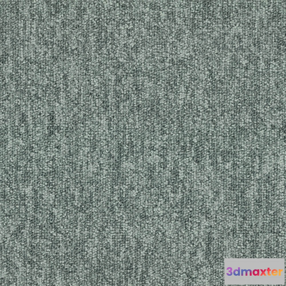 1670924 - BLOQ - Carpeting Tradition_605 3D Max