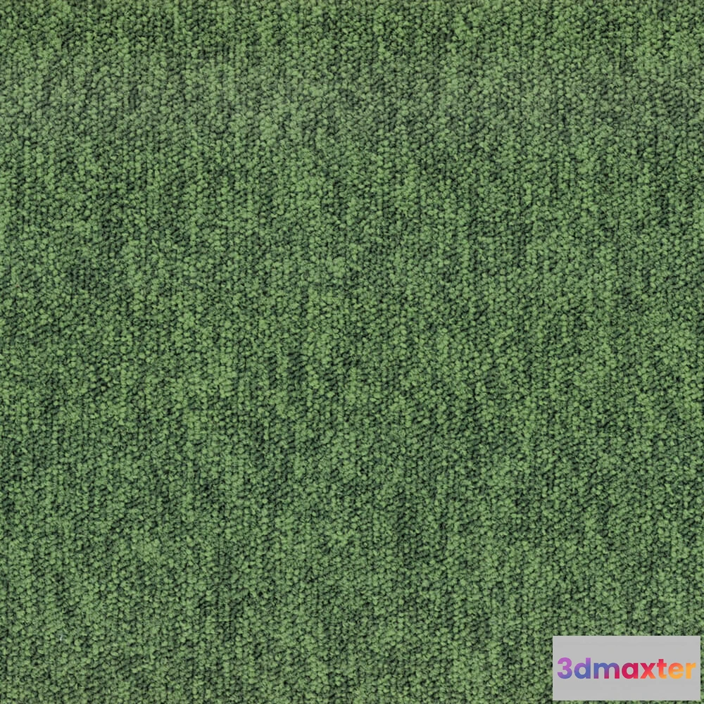 1670926 - BLOQ - Carpeting Tradition_615 3D Max