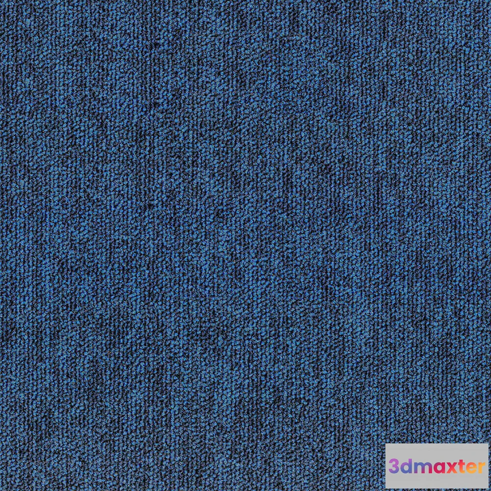1670928 - BLOQ - Carpeting Tradition_520 3D Max