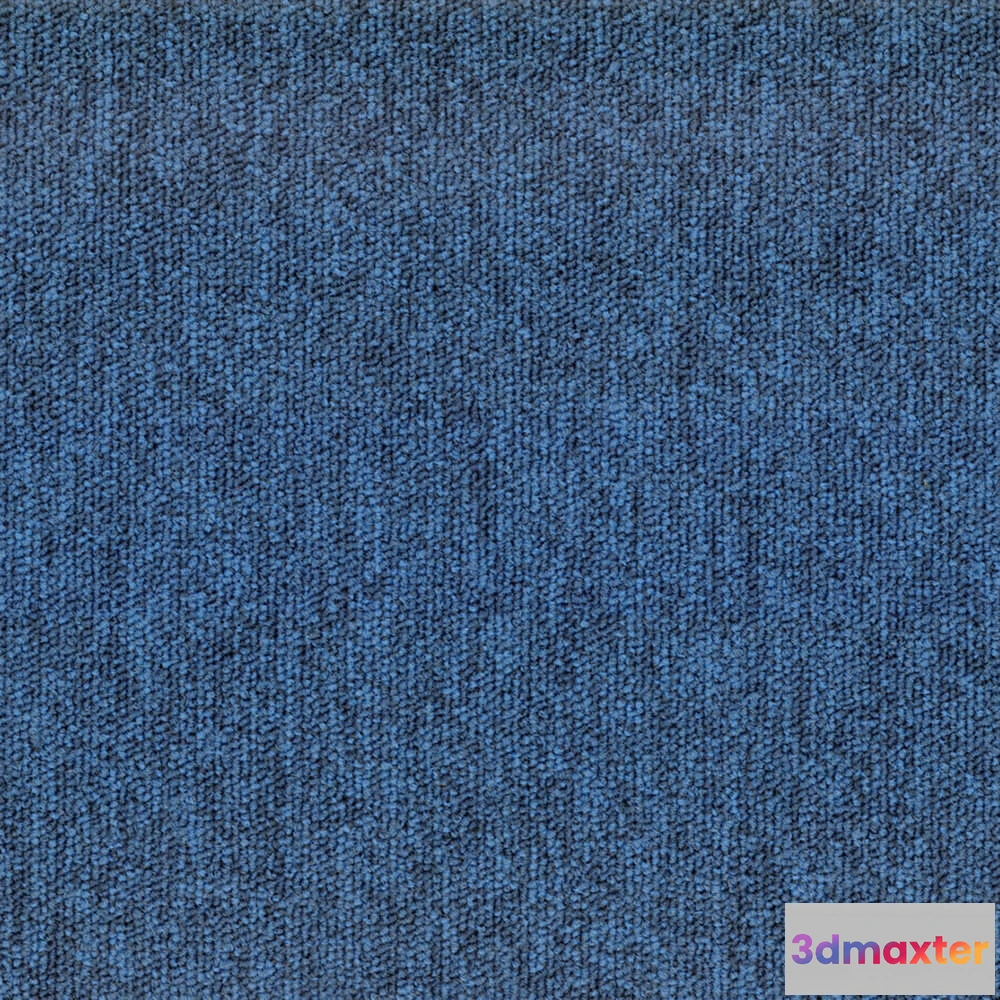 1670930 - BLOQ - Carpeting Tradition_515 3D Max