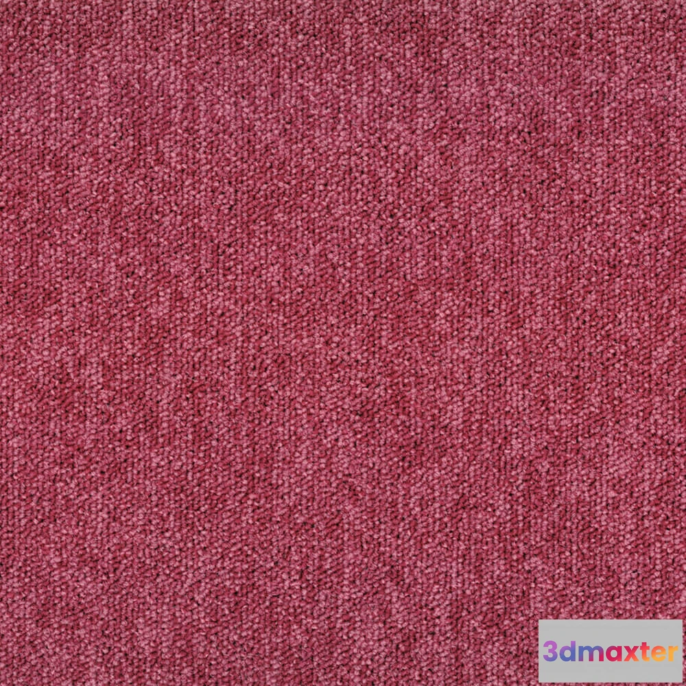1670936 - BLOQ - Carpeting Tradition_405 3D Max