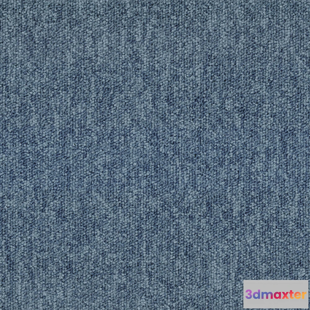 1670938 - BLOQ - Carpeting Tradition_505 3D Max