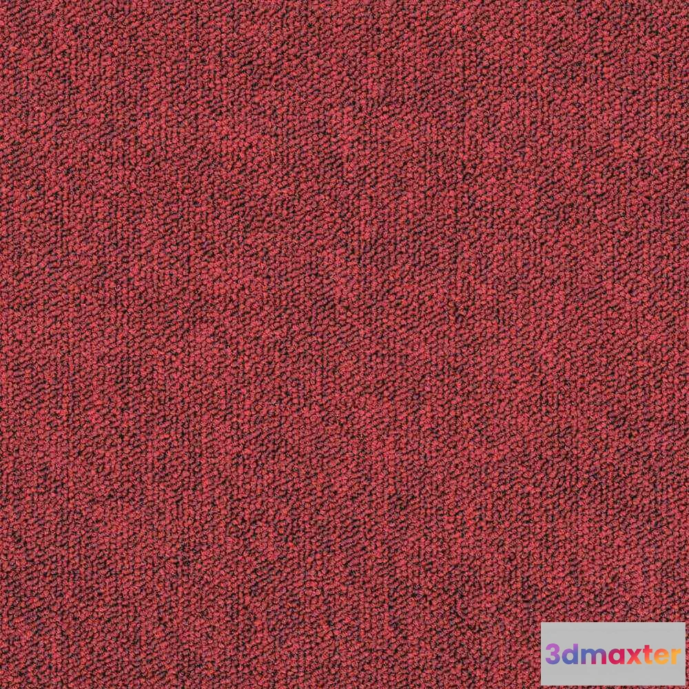 1670940 - BLOQ - Carpeting Tradition_305 3D Max