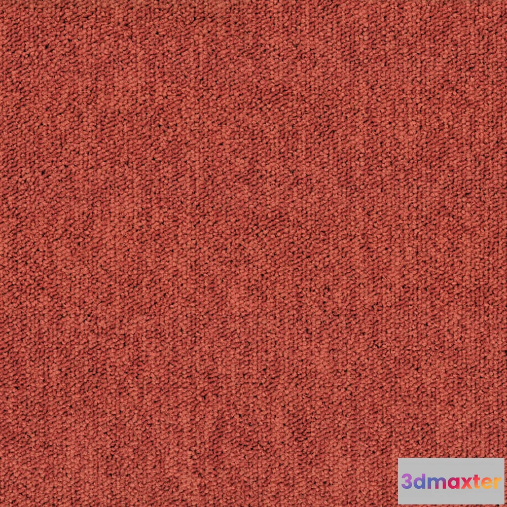 1670942 - BLOQ - Carpeting Tradition_215 3D Max