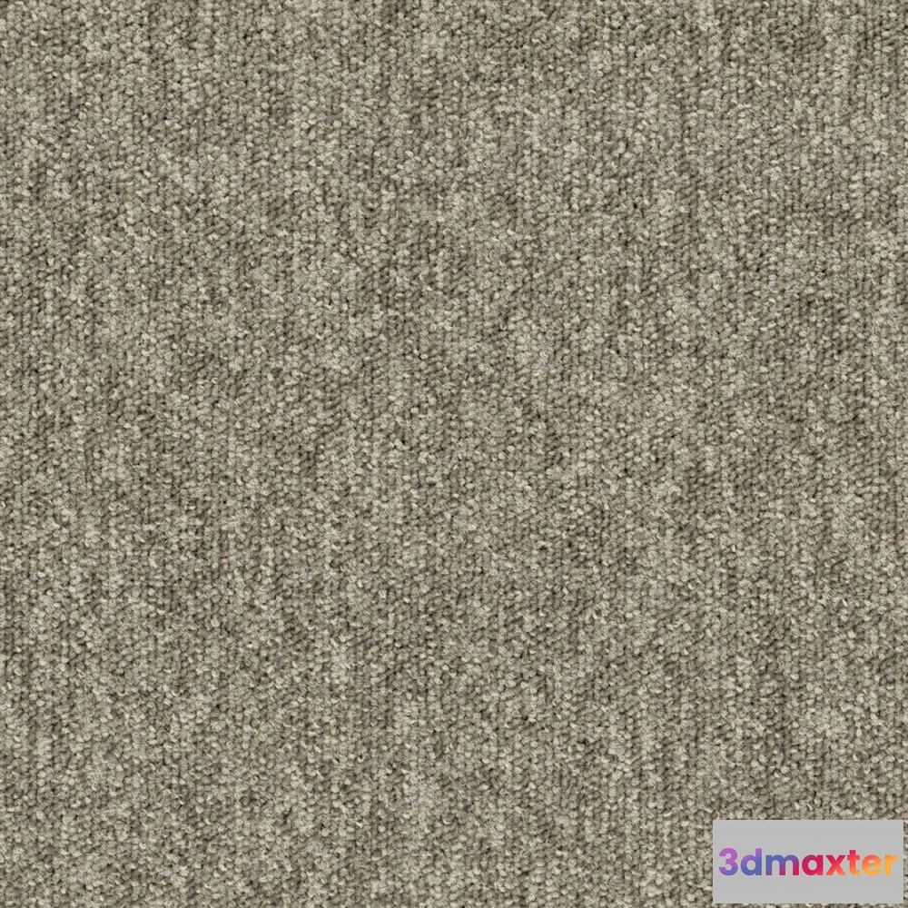 1670944 - BLOQ - Carpeting Tradition_115 3D Max