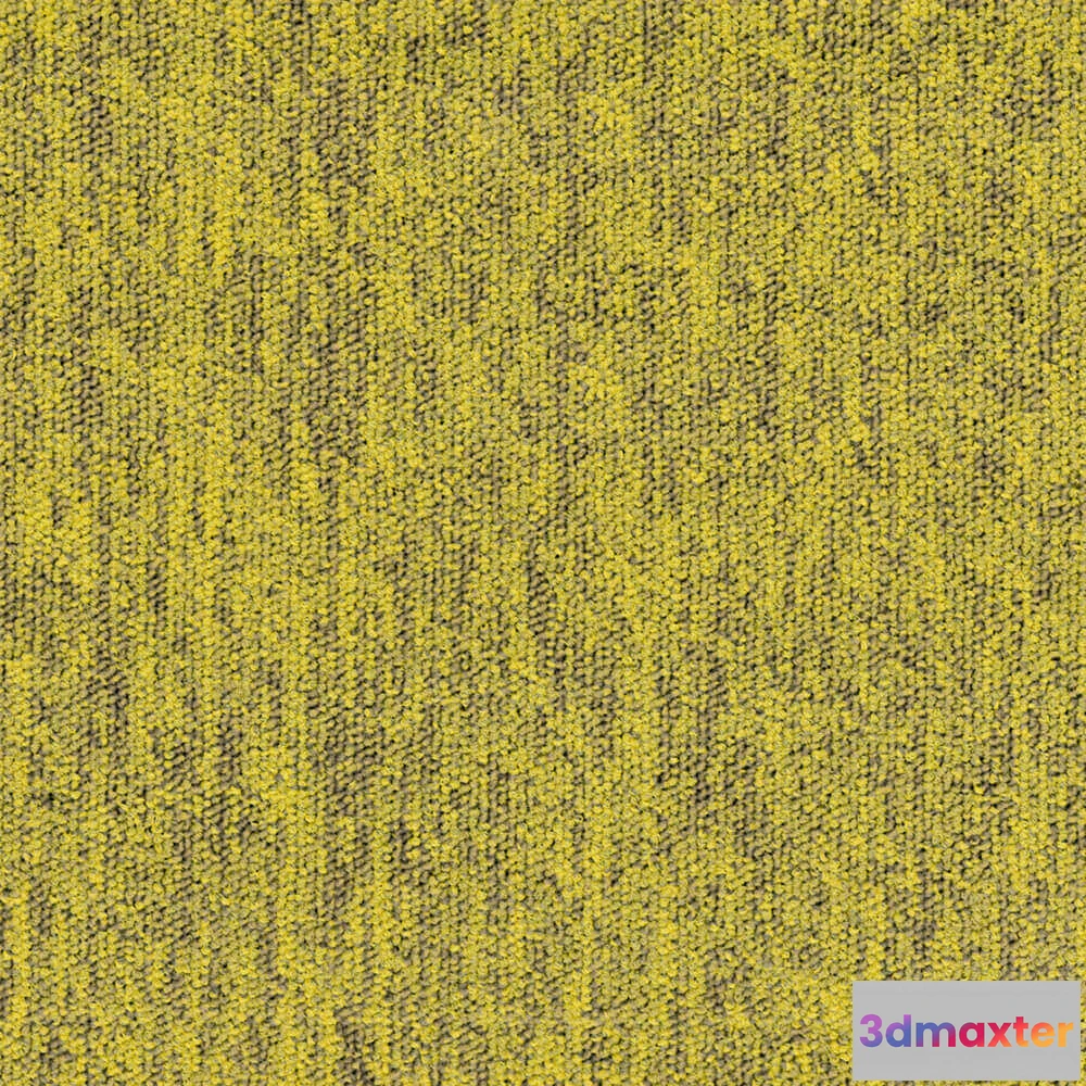1670948 - BLOQ - Carpeting Tradition_205 3D Max