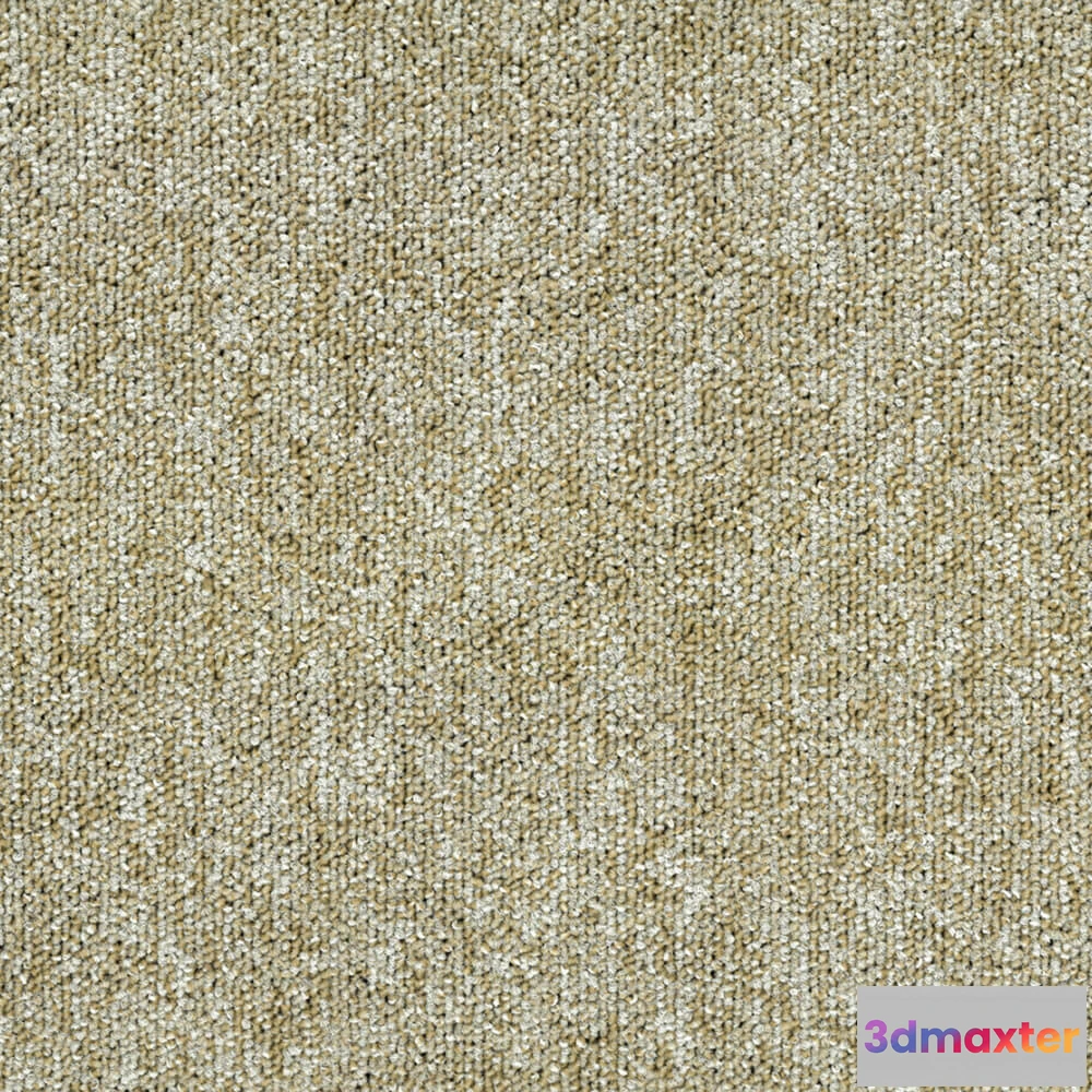 1670952 - BLOQ - Carpeting Tradition_110 3D Max