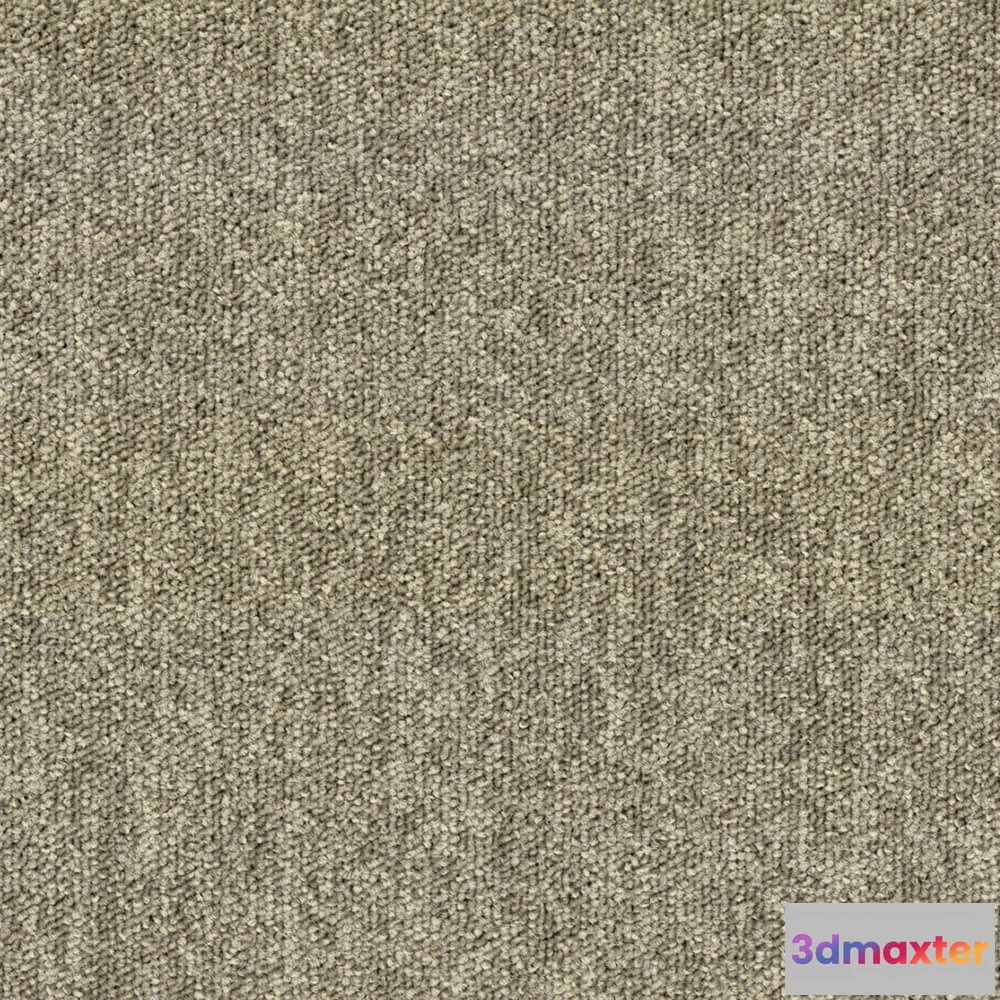 1670960 - BLOQ - Carpeting Tradition_120 3D Max