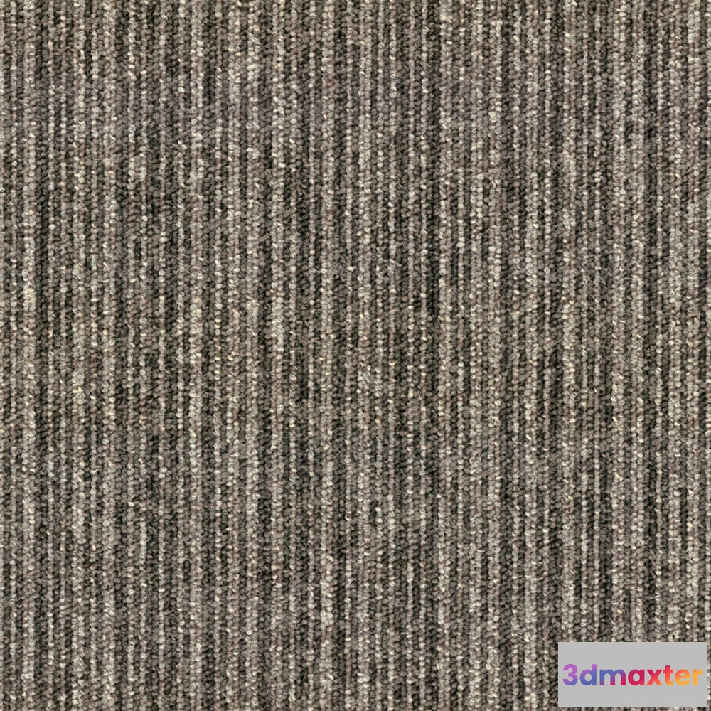 1671010 - BLOQ - Carpeting Rhythm_811 3D Max