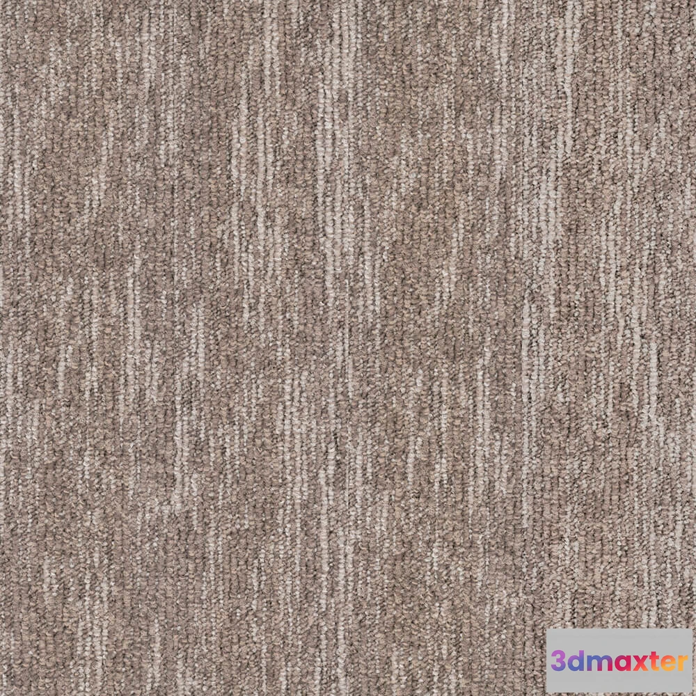 1671114 - BLOQ - Carpeting Grain_135 3D Max