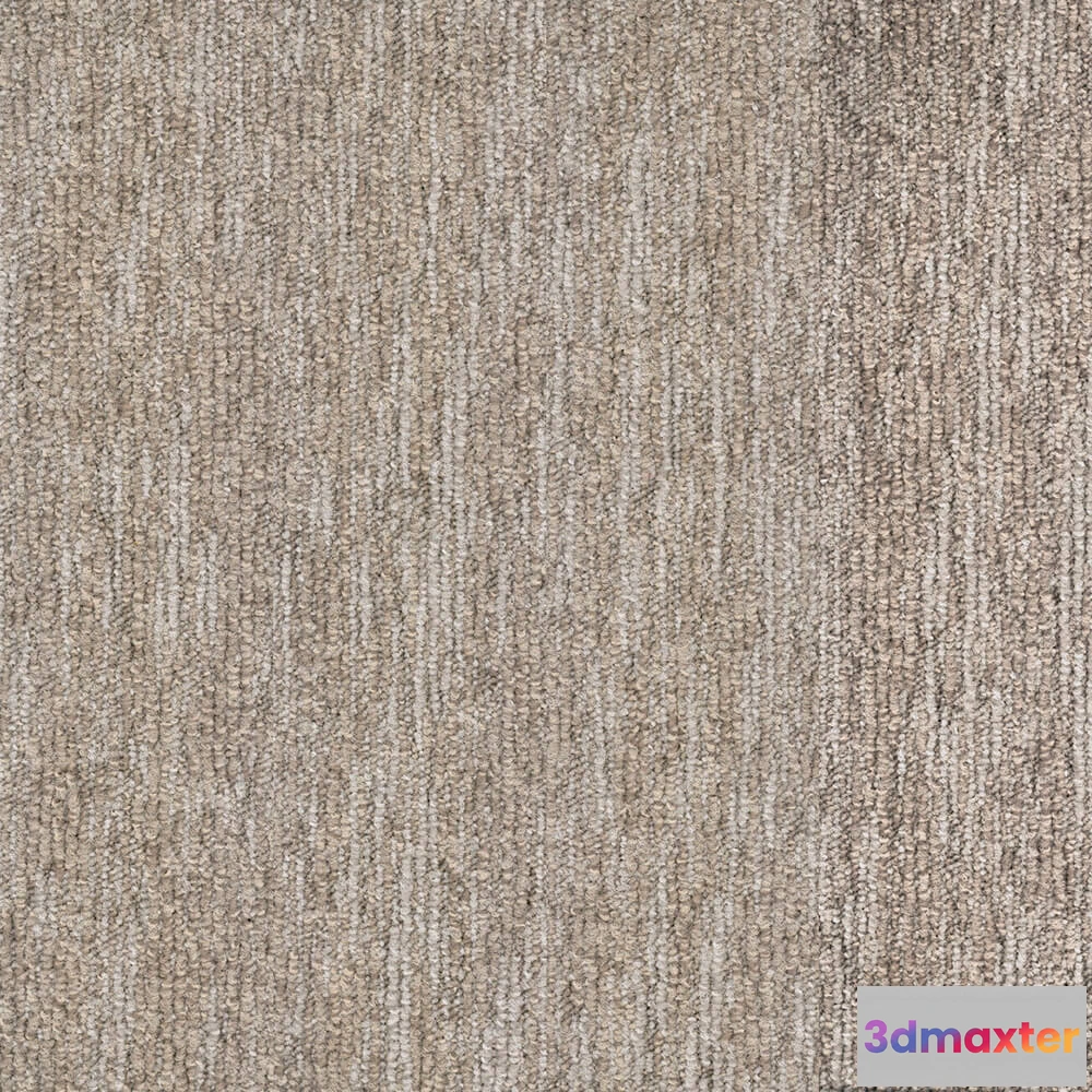 1671122 - BLOQ - Carpeting Grain_123 3D Max
