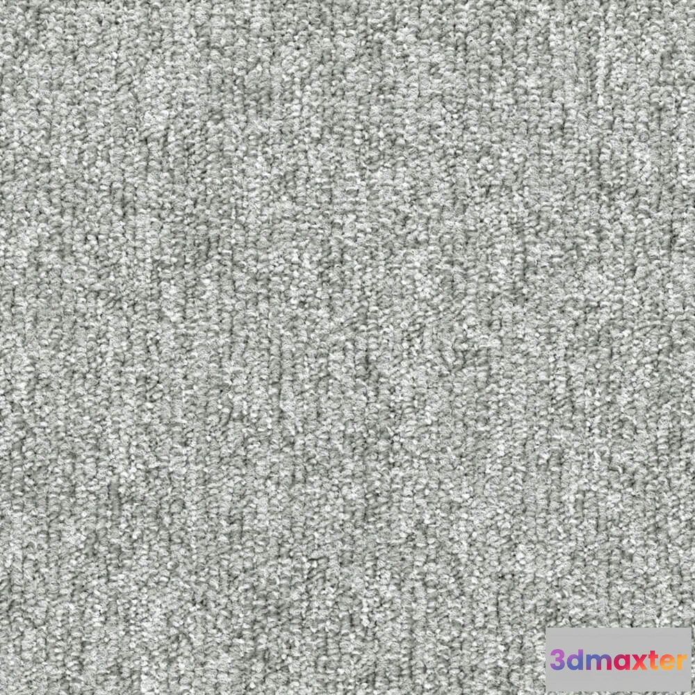 1671130 - BLOQ - Carpeting Flow_907 3D Max