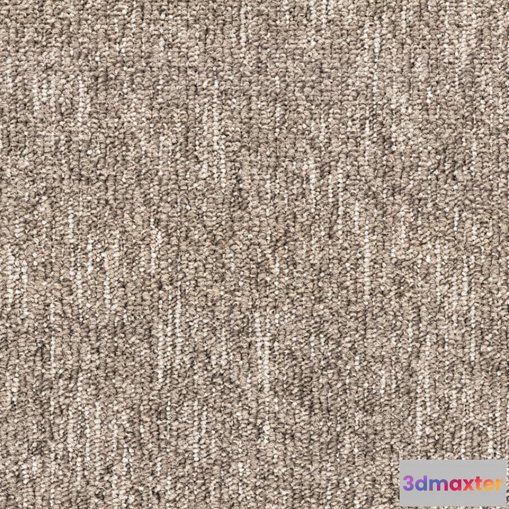 1671146 - BLOQ - Carpeting Flow_135 3D Max