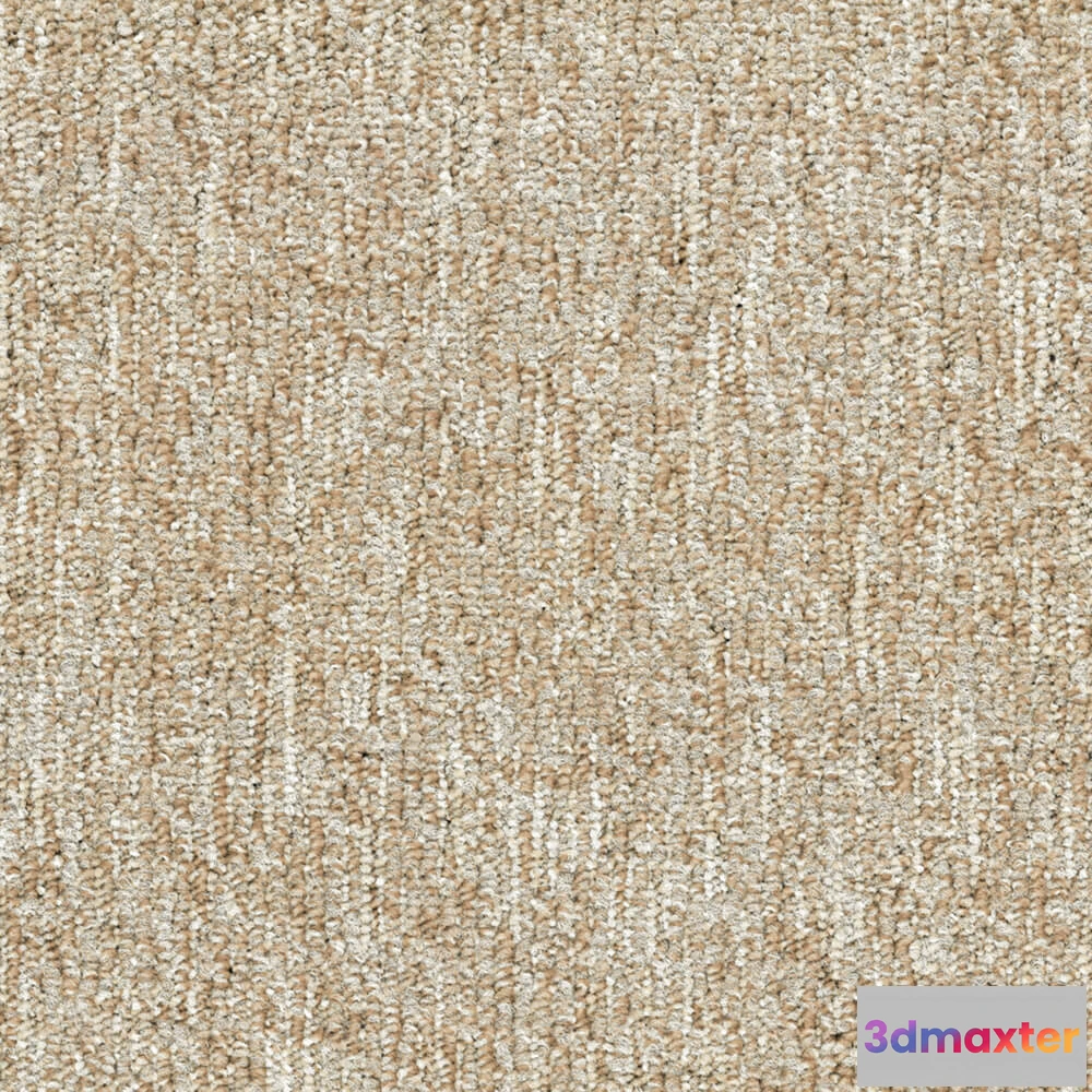 1671148 - BLOQ - Carpeting Flow_130 3D Max