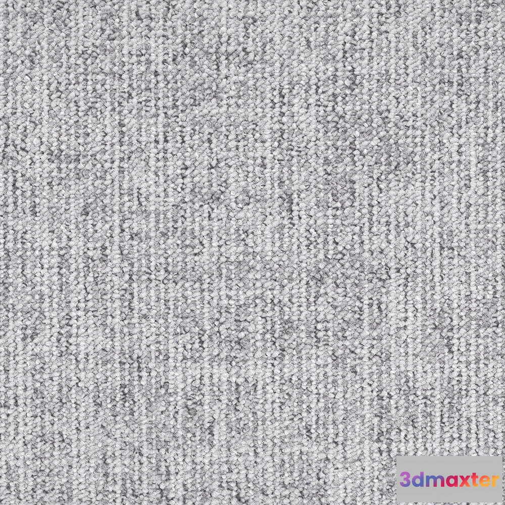 1671226 - BLOQ - Carpeting Canvas_955 3D Max
