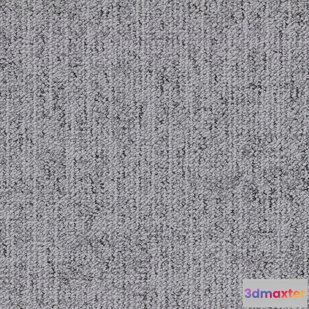 1671230 - BLOQ - Carpeting Canvas_960 3D Max