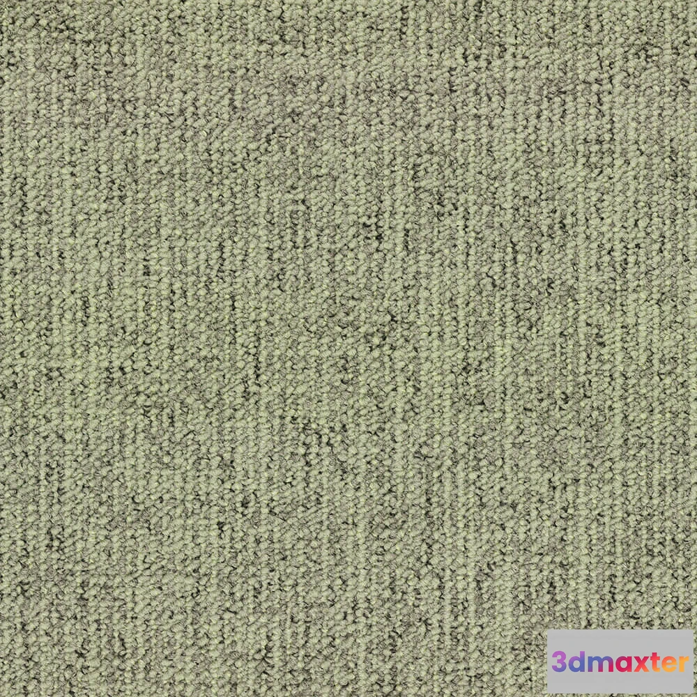 1671232 - BLOQ - Carpeting Canvas_625 3D Max