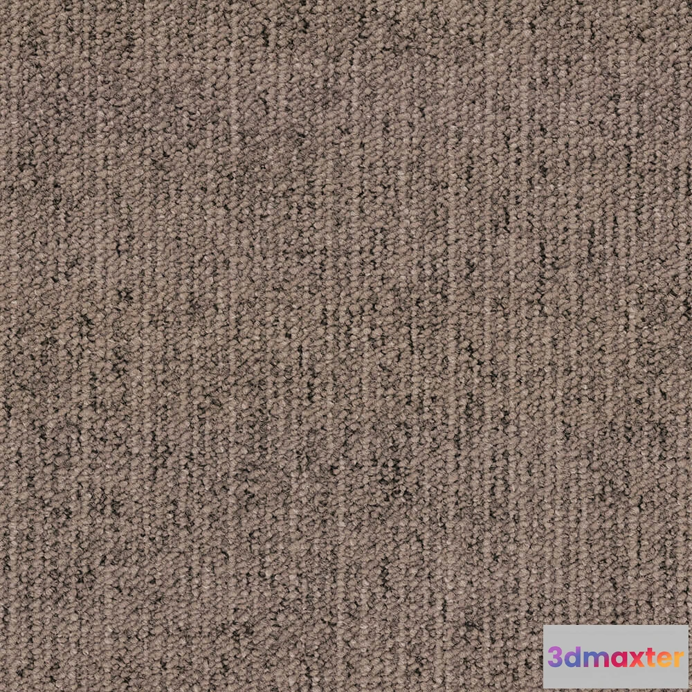 1671234 - BLOQ - Carpeting Canvas_820 3D Max