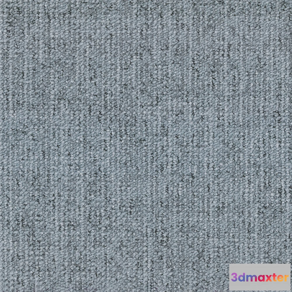 1671236 - BLOQ - Carpeting Canvas_540 3D Max