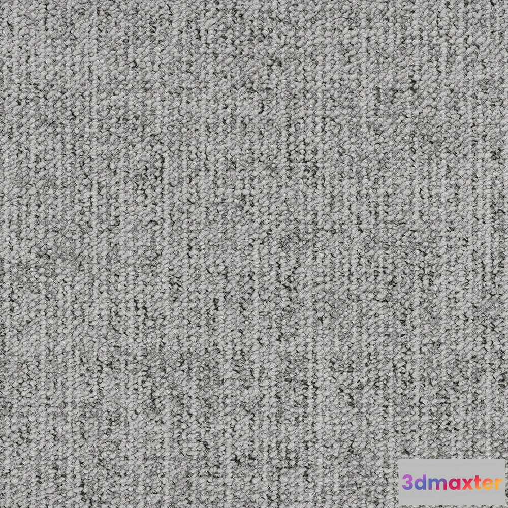 1671238 - BLOQ - Carpeting Canvas_535 3D Max