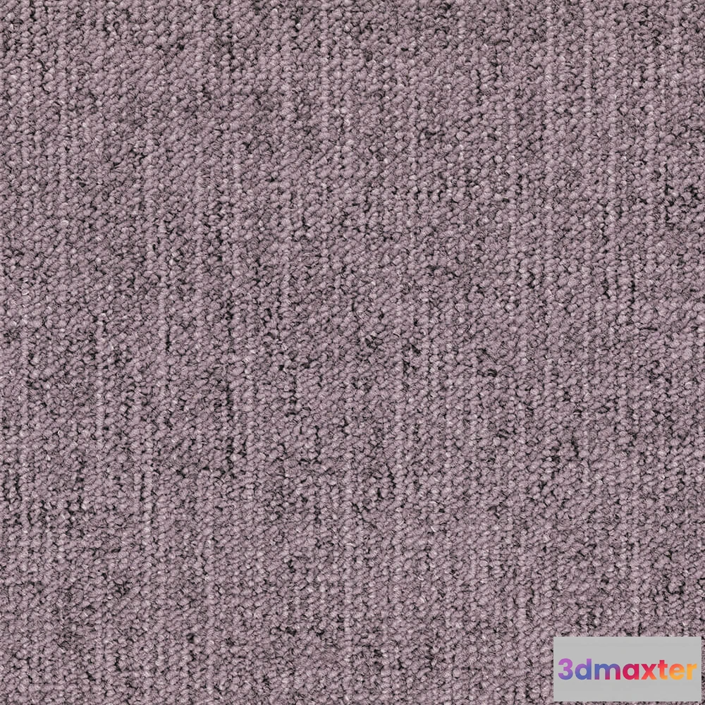 1671240 - BLOQ - Carpeting Canvas_415 3D Max