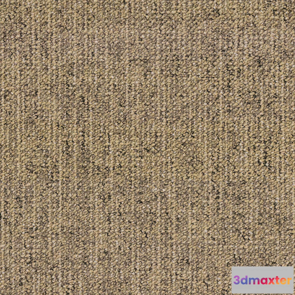 1671244 - BLOQ - Carpeting Canvas_815 3D Max