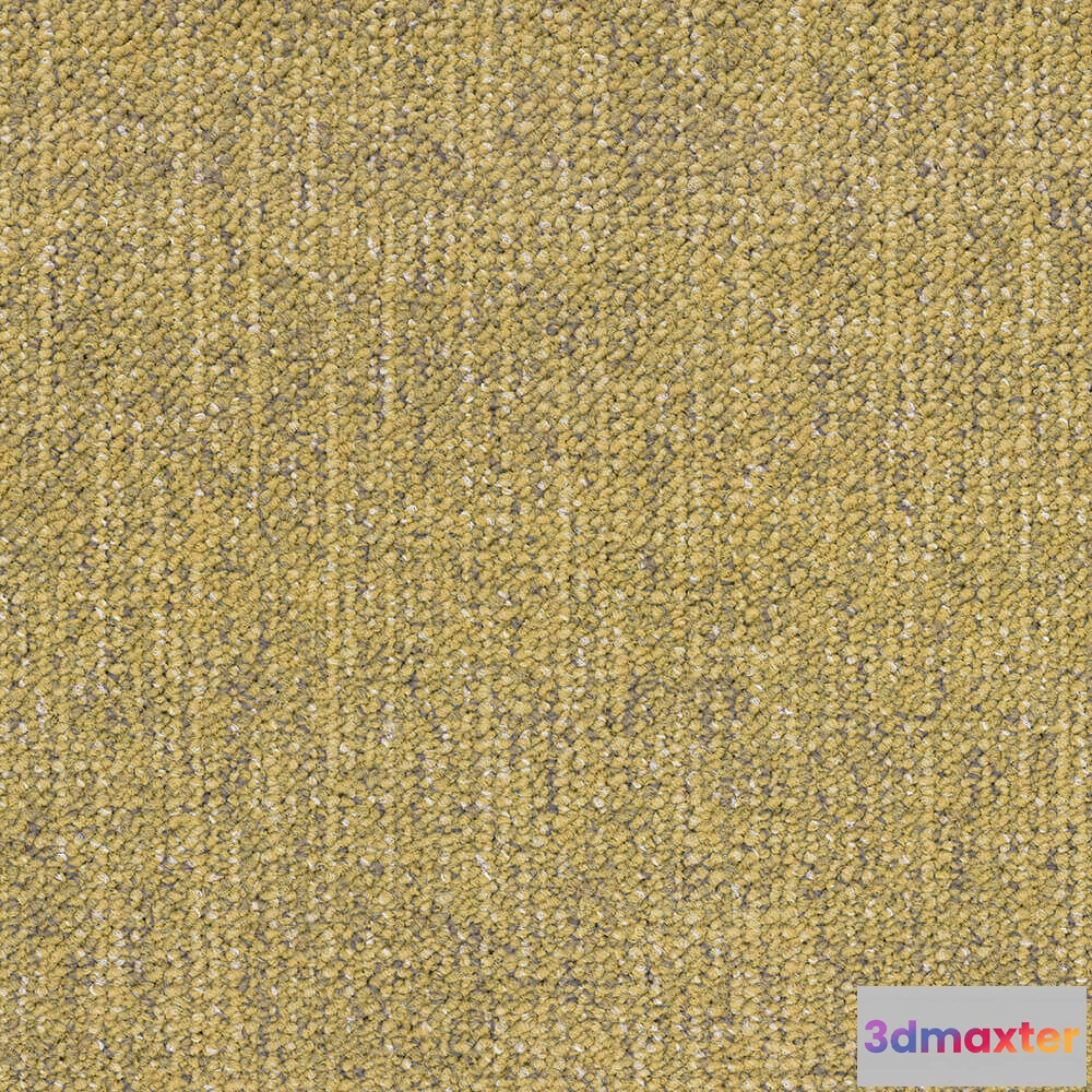 1671246 - BLOQ - Carpeting Canvas_230 3D Max
