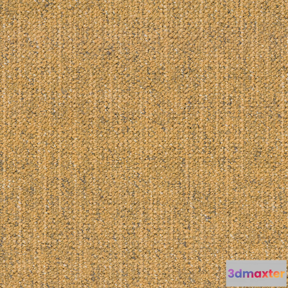 1671248 - BLOQ - Carpeting Canvas_225 3D Max