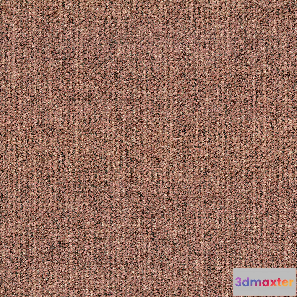 1671250 - BLOQ - Carpeting Canvas_310 3D Max